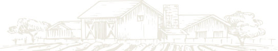 about shape 1